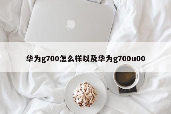 华为g700怎么样以及华为g700u00