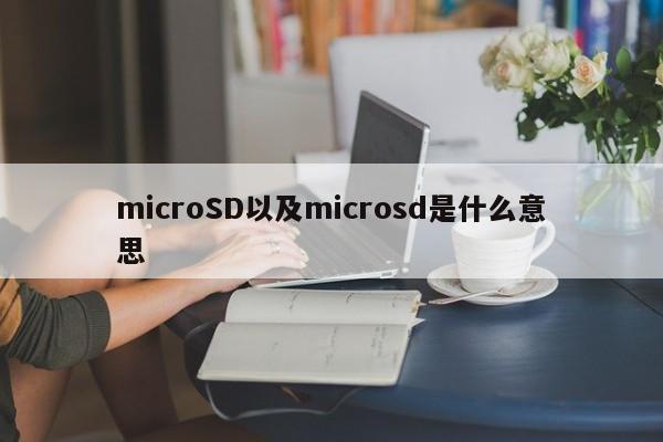 microSD以及microsd是什么意思