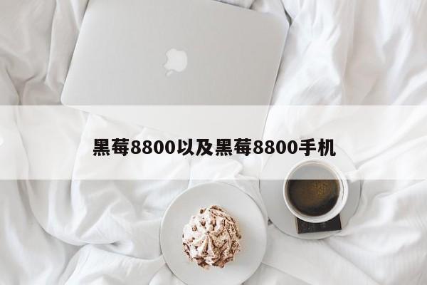 黑莓8800以及黑莓8800手机-第1张图片-智能手机报价大全