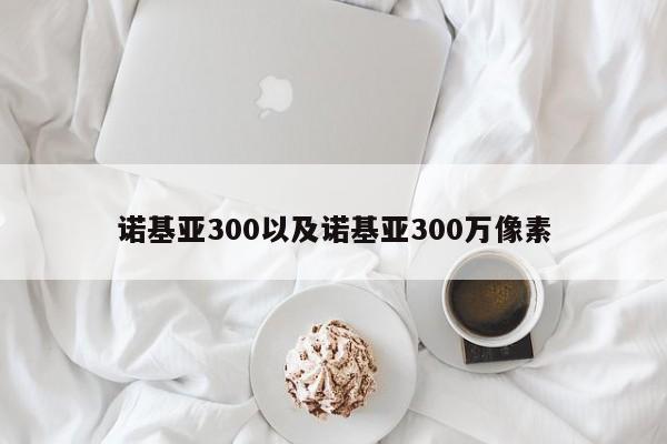 诺基亚300以及诺基亚300万像素