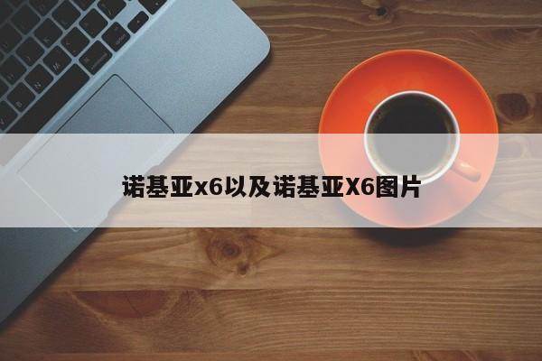 诺基亚x6以及诺基亚X6图片-第1张图片-智能手机报价大全