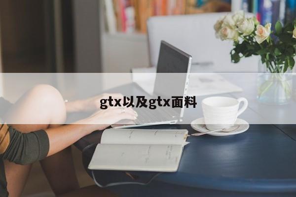 gtx以及gtx面料-第1张图片-智能手机报价大全