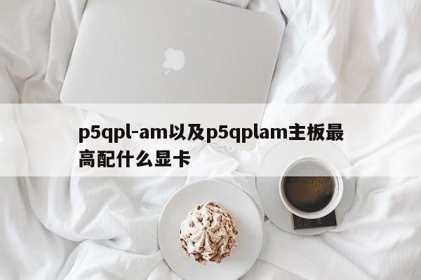 p5qpl-am以及p5qplam主板最高配什么显卡-第1张图片-智能手机报价大全