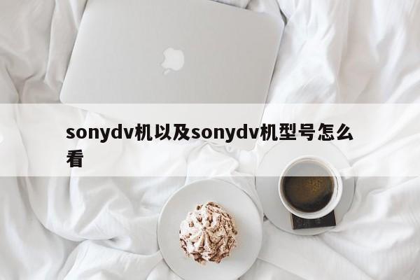 sonydv机以及sonydv机型号怎么看