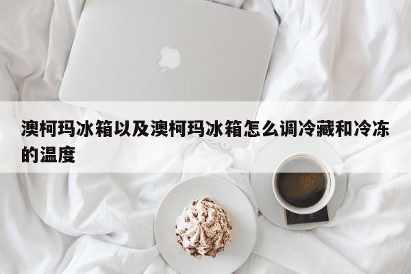 澳柯玛冰箱以及澳柯玛冰箱怎么调冷藏和冷冻的温度-第1张图片-智能手机报价大全